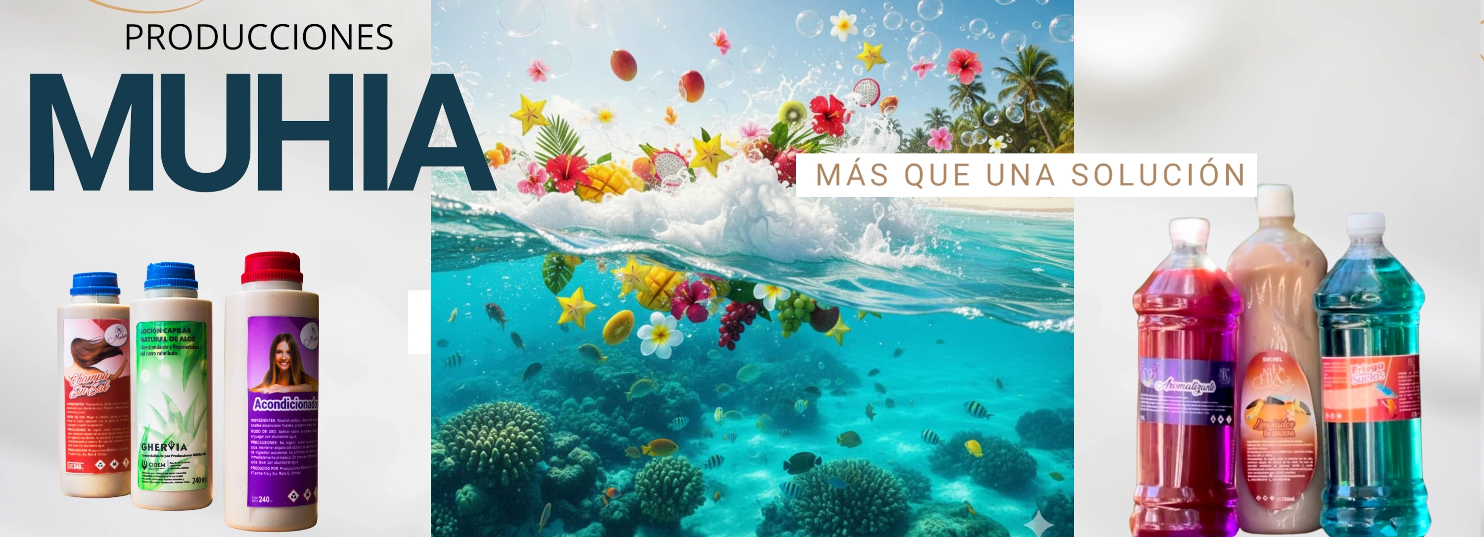 Ofertas especiales