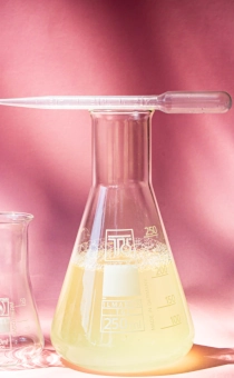 Detergente de Fregar gama alta a Granel